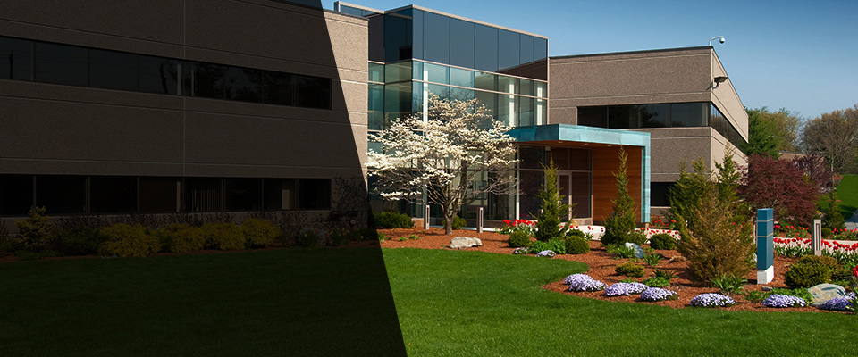 Pikesville Landscapers