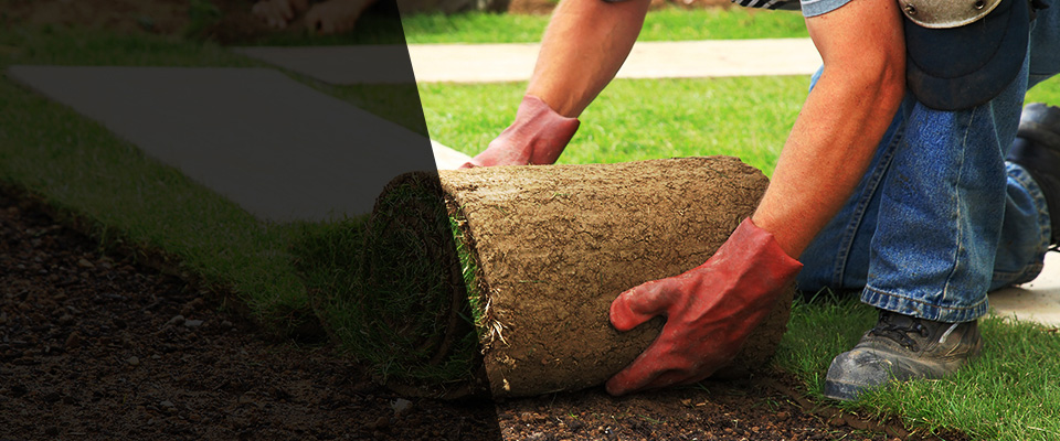 Pikesville Landscapers